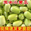 玉女小黄瓜 商品缩略图4