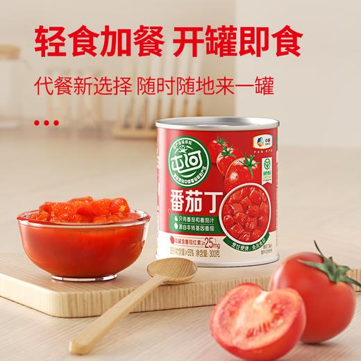 屯河蕃茄丁300g 商品图3