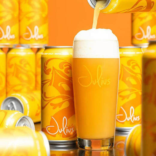 【3月产】美国树屋朱丽叶斯双倍IPA啤酒  6.8%vol 商品图1