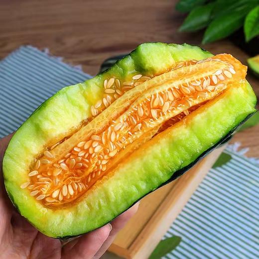 博洋9号甜瓜 商品图1