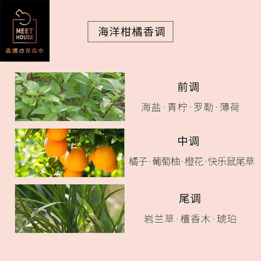 海盐罗勒与柑橘50ml 商品图2
