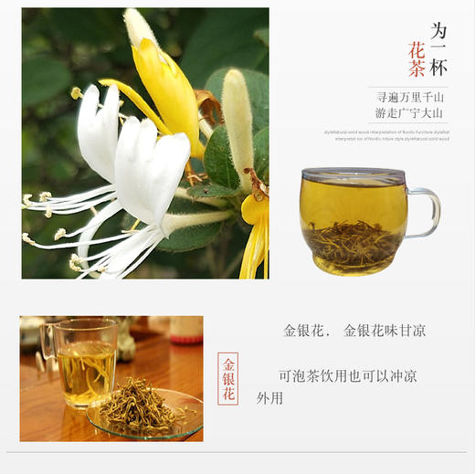 玉奴饮 金银花茶 35g/罐 商品图3