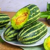 博洋9号甜瓜 商品缩略图6