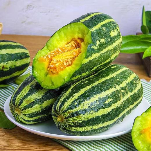博洋9号甜瓜 商品图6