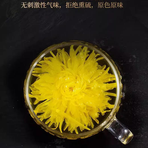 玉奴饮 金丝黄菊菊花茶  20g/罐 商品图1