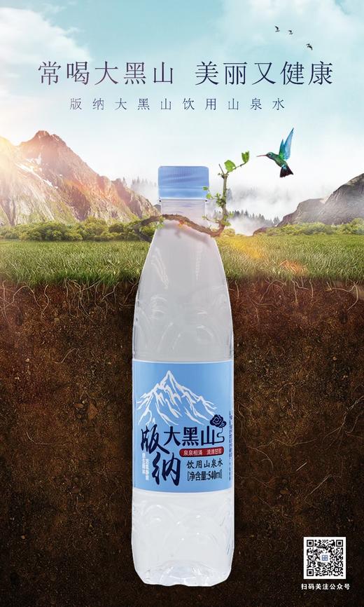 版纳大黑山瓶装水540ml*24瓶/350ml*24瓶【BN】 商品图0