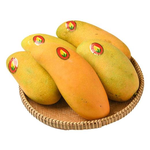 高乐蜜芒果500g 商品图0