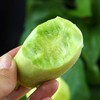 玉女小黄瓜 商品缩略图2