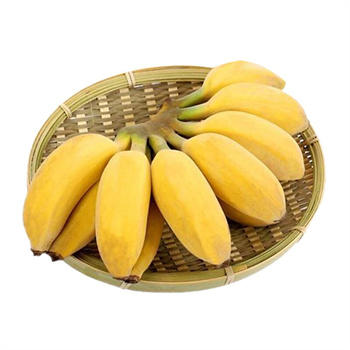 苹果蕉小礼盒 商品图0