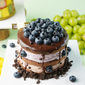 蓝莓黑巧裸蛋糕（双重奶油口味）