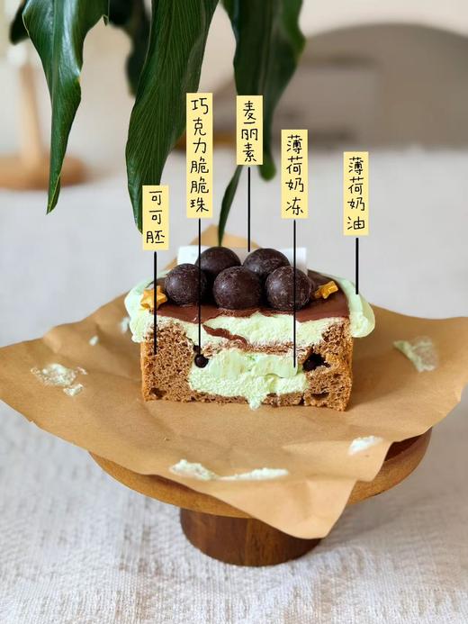 迷你4寸薄荷星星熔岩 商品图1