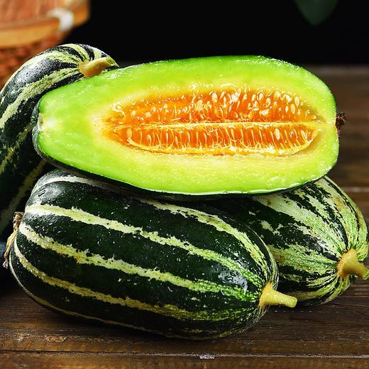 博洋9号甜瓜 商品图5