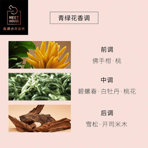 冷萃清茶100ml 商品图2