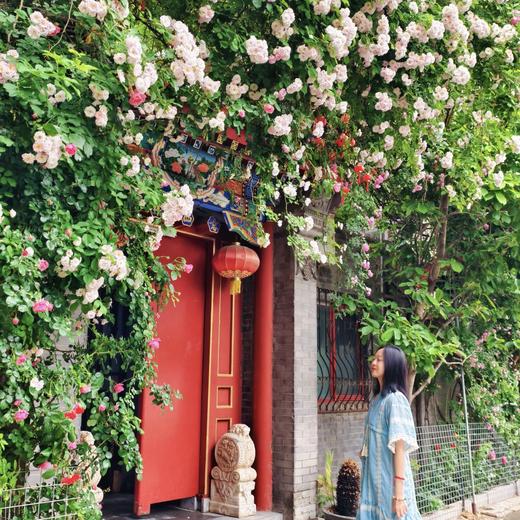 京韵津味 - 北京天津纯玩双飞6日游【邻居专团】 商品图7