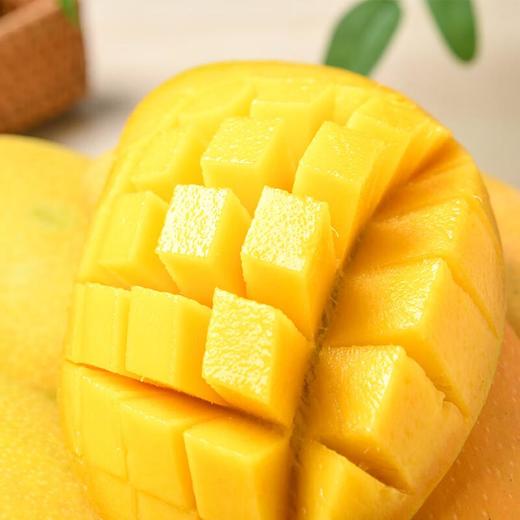 高乐蜜芒果500g 商品图1