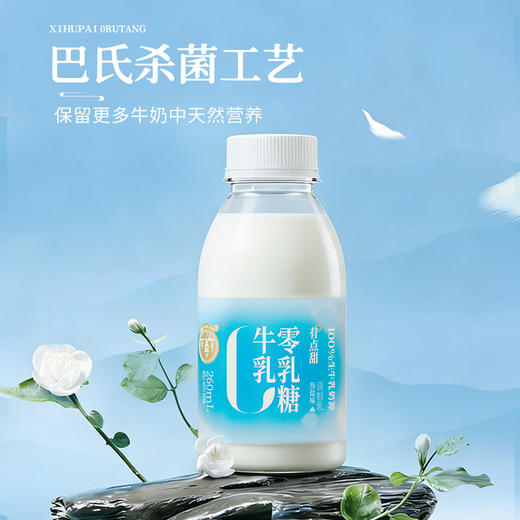 【快递直达】西湖牌海盐0乳糖牛乳260mL（多规格可选） 商品图3