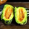 博洋9号甜瓜 商品缩略图3