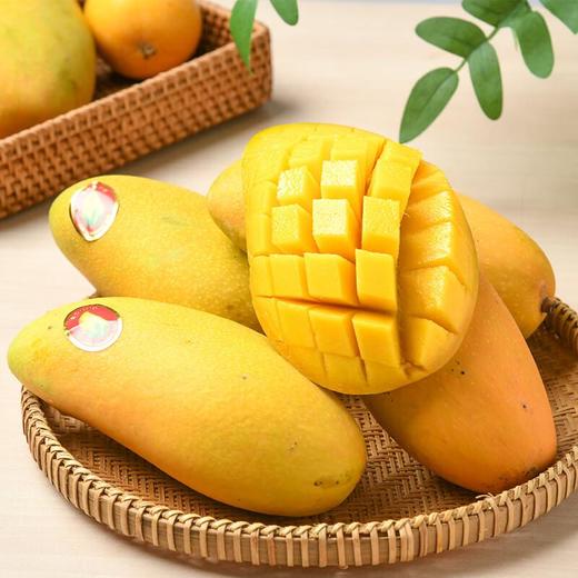 高乐蜜芒果500g 商品图2