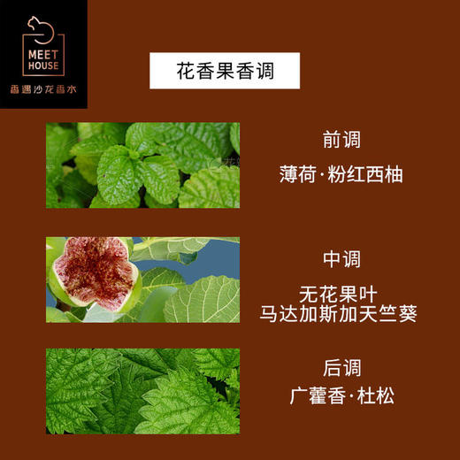 无人岛 限定版100ml 商品图2