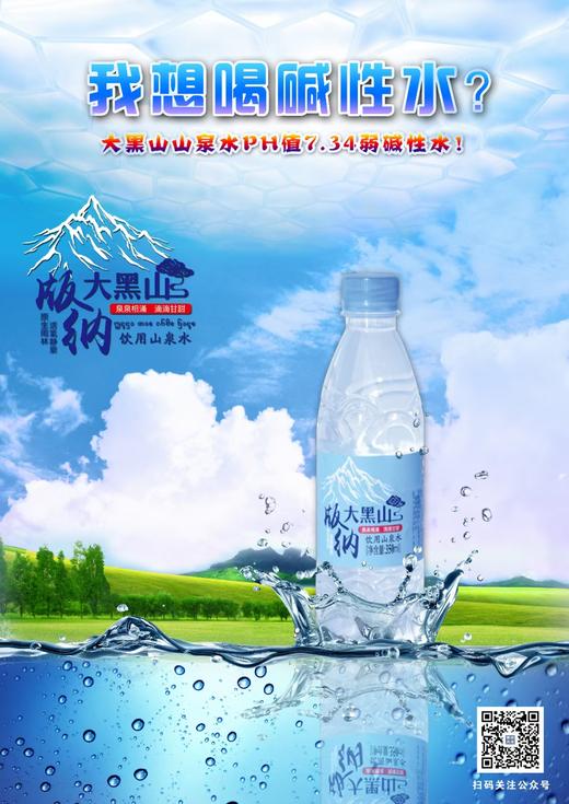 版纳大黑山瓶装水540ml*24瓶/350ml*24瓶【BN】 商品图2