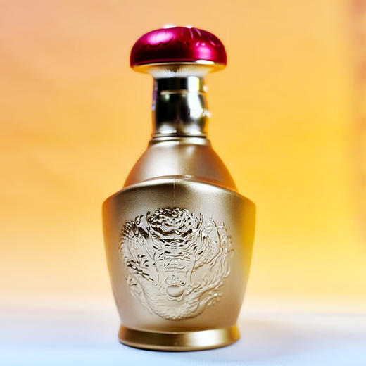52度五粮液 富贵吉祥·元宝500ml 单瓶 商品图2
