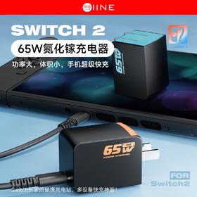 良值 Switch1&2 65W 氮化镓充电器 配件