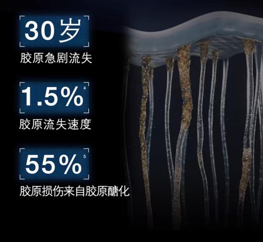 修丽可紧致提升精华霜 48ml    紧致抗皱抗醣淡纹 商品图4