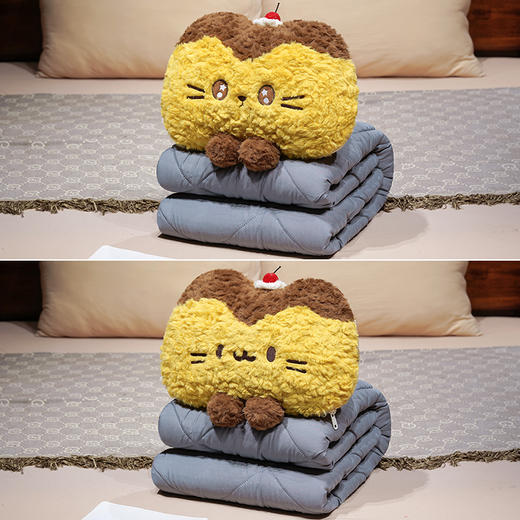 自然醒布丁猫刷花两用抱枕被QYL 商品图4