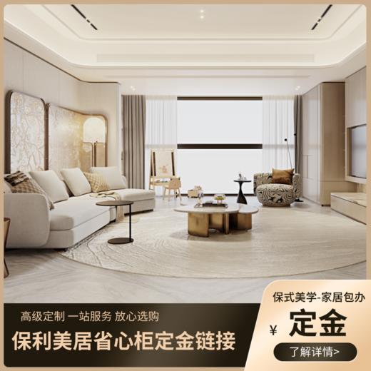 【省心柜】省心柜全系列通用定金链接 商品图0