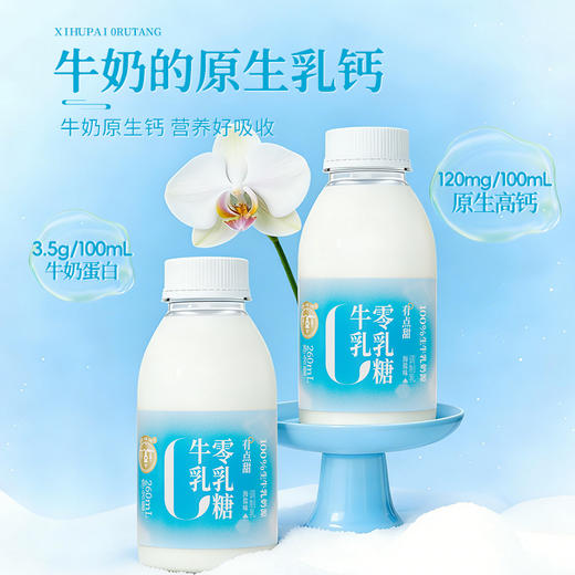 【快递直达】西湖牌海盐0乳糖牛乳260mL（多规格可选） 商品图4
