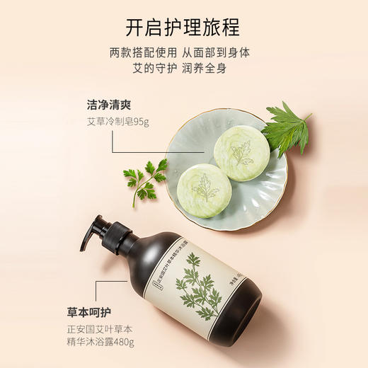 正安 艾草沐浴露 艾叶油迷迭香积雪草等 泡沫细腻 春夏护肤清洁秋冬滋润拒绝瘙痒干燥肌肤  草本精华沐浴液480ml/瓶 商品图10