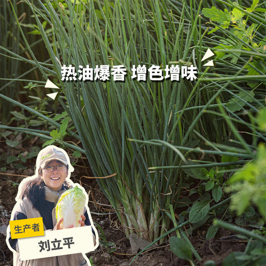 生态小葱 | 绿家自产*Ecological Shallot |  In-House Production 商品图0