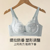 皇家丽美 2026新款蕾丝无钢圈聚拢文胸女小胸显大上托收副乳调整型内衣WW959-2 商品缩略图1
