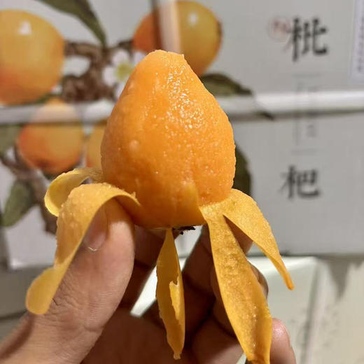 云南高原「完熟枇杷」大果 整件 约1.5kg 商品图6