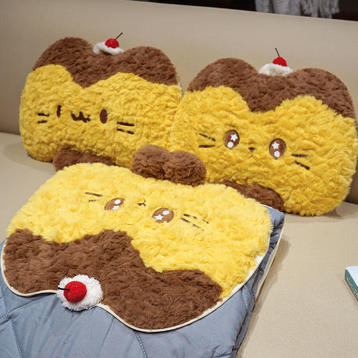 自然醒布丁猫刷花两用抱枕被QYL 商品图9