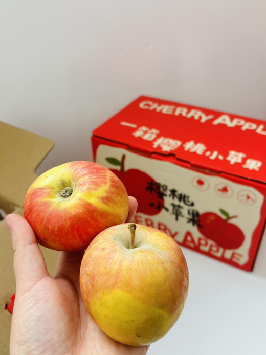 新疆樱桃苹果，汁水足、纯甜 商品图3