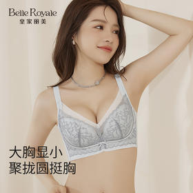 皇家丽美 2026新款法式蕾丝内衣女小胸聚拢收副乳防下垂调整型文胸无钢圈WW958-2