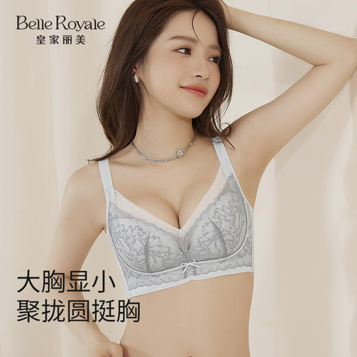 皇家丽美 2026新款法式蕾丝内衣女小胸聚拢收副乳防下垂调整型文胸无钢圈WW958-2 商品图0