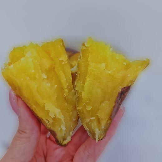 琼中美味海南桥头地瓜 商品图7