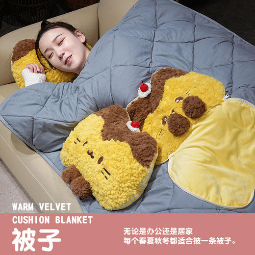 自然醒布丁猫刷花两用抱枕被QYL 商品图2