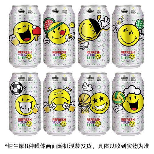 青岛啤酒 纯生330ml*24听 官方直营 整箱包邮 商品图3