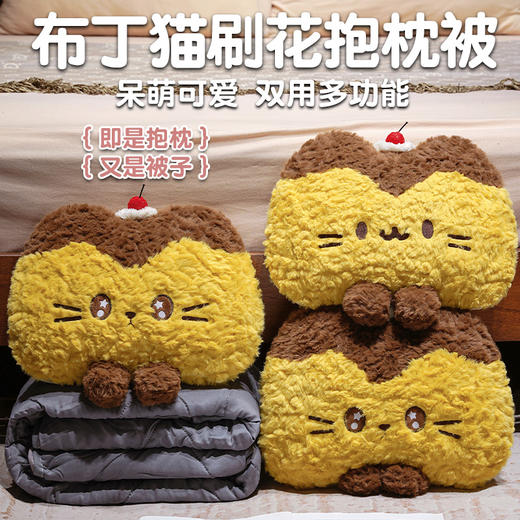 自然醒布丁猫刷花两用抱枕被QYL 商品图0