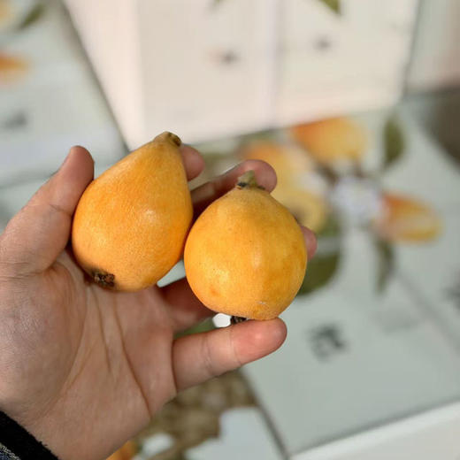 云南高原「完熟枇杷」大果 整件 约1.5kg 商品图9