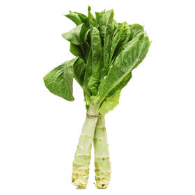 兰菇良莴笋500g/份