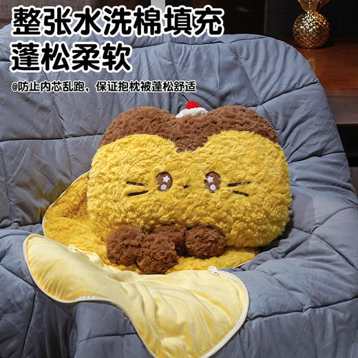 自然醒布丁猫刷花两用抱枕被QYL 商品图1