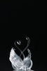 Swan · 天鹅 商品缩略图4