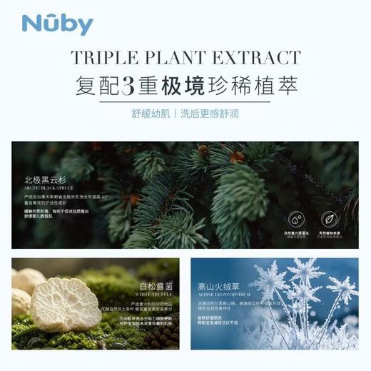 Nuby婴幼儿云杉洗发沐浴泡泡250ml 商品图2
