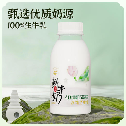 【快递直达】西湖牌高钙鲜牛奶260mL（多规格可选） 商品图5