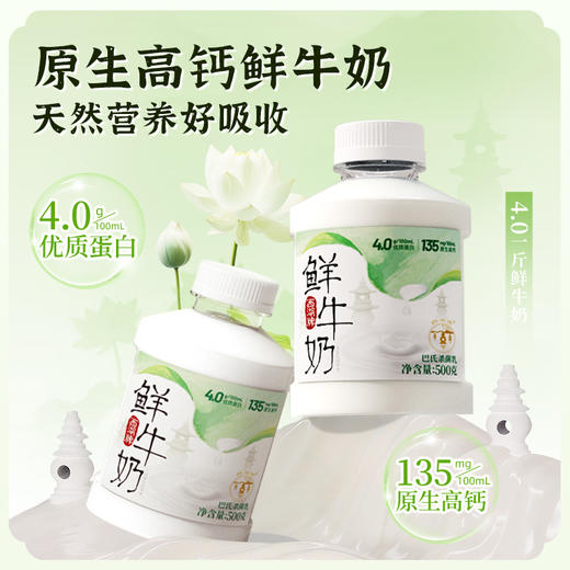 【快递直达】美丽健西湖牌PET4.0鲜牛奶500g 商品图1
