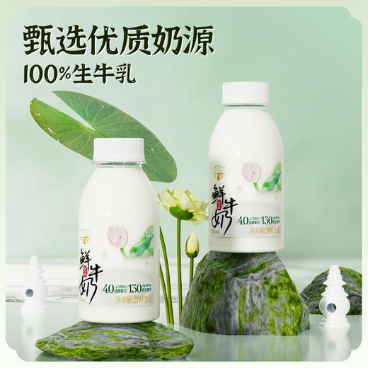 【快递直达】西湖牌高钙鲜牛奶260mL（多规格可选） 商品图4